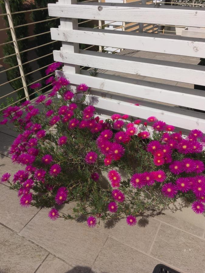 Antonella Gardalake 2 Desenzano del Garda Dış mekan fotoğraf